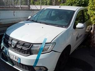 Fourgon avec parois et toit rigide Dacia Sandero