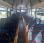 Autobus Irisbus Recreo