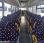 Autobus Mercedes Intouro