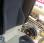 Voirie Renault Premium