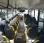 Autobus Mercedes Intouro