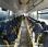 Autobus Mercedes Intouro