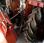Tracteur agricole Renault R7431