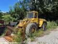 Chargeuse  Massey Ferguson MF55C