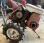 Motoculteur Honda             G30