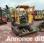 Mini-pelle Volvo EC25