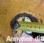 Curage rotatif nc             chargeur