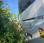 Autobus Mercedes Intouro