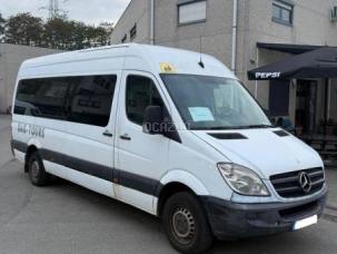 Autocar Mercedes Sprinter