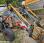 Tracteur agricole Renault R3143