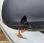 Fourgon avec parois et toit rigide Renault Kangoo
