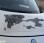 Fourgon avec parois et toit rigide Renault Scenic