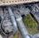 Pour semi-remorque Iveco Stralis