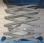 Nacelle automotrice Iteco IT12151