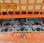 Nacelle automotrice JLG 4069LE