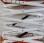 Nacelle automotrice Snorkel S4732E