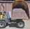 Mini-tombereau Wacker Neuson 3001