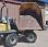 Mini-tombereau Wacker Neuson 3001