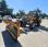 Chargeuse  Volvo L 20 B