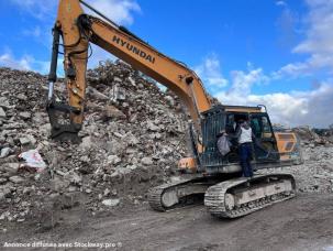 Pelle  Hyundai HX260NL