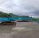 Pelle  Kobelco SK250NLC