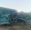 Crible POWERSCREEN WARRIOR 800 WARRIOR 800