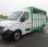 Bétaillère Renault Master