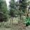 Abatteuse Farma BC18