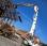 Pelle  Liebherr 944