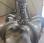  Liebherr            