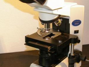 MICROSCOPE DE BIOLOGIE OLYMPUS CX31 RBSF