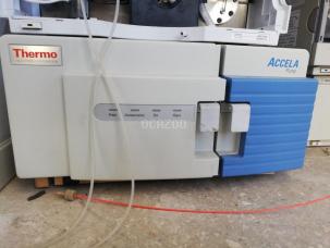 Thermo Scientific Accela Pompe HPLC