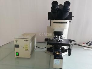 Microscope à fluorescence OLYMPUS BX40