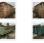  INCONNU 6M/5M40/5M30