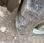 Pelle  Doosan DX 210W-5