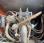 Pelle  Doosan DX 210W-5