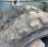 Pelle de manutention Liebherr A316Litronic