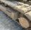 Pelle  Hyundai ROBEX 145 LCR-9A