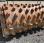  CATERPILLAR COQUILLE PIED DE MOUTON CS 663E