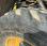 Chargeuse  Komatsu WA100M6