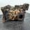  Liebherr             R974BHD