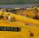  JCB             JS330NC