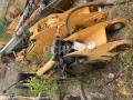  Liebherr            