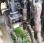 Tracteur agricole Deutz-Fahr DX630