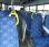 Autobus Otokar Navigo 185SH