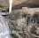 Pour semi-remorque Mercedes Actros