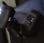 Lecteur code barre portable Datalogic QuickScan
