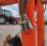 Mini-pelle Pel Job EB16-4