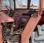 Tracteur agricole Massey Ferguson 175