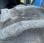 Tracteur agricole New Holland TS100